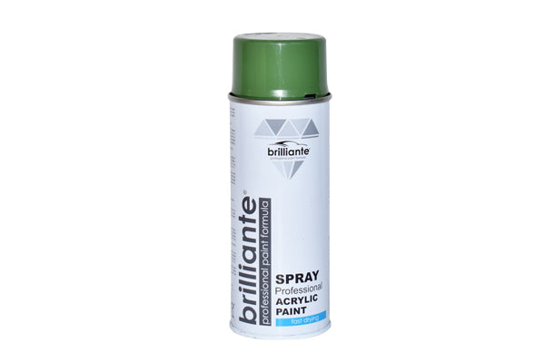 Vopsea Spray Verde Reseda (Ral 6011) 400 Ml Brilliante